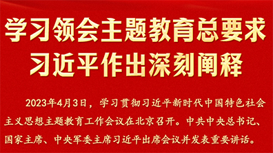学习体会主题教育总要求习近平做出深刻阐释